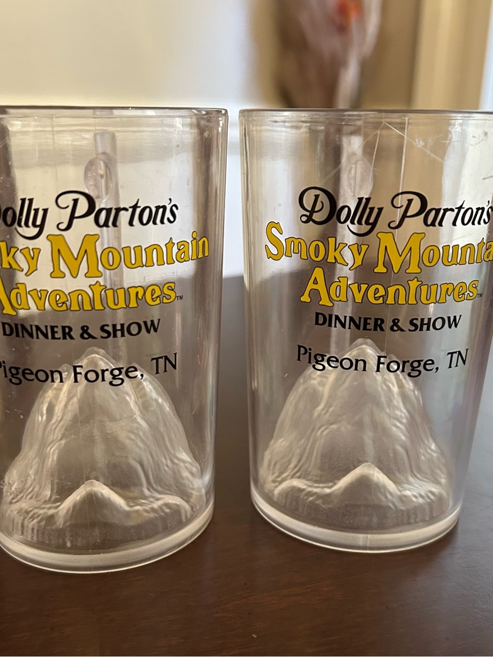 Dolly Parton Pigeon Forge Plastic Souvenir Cups- Two
